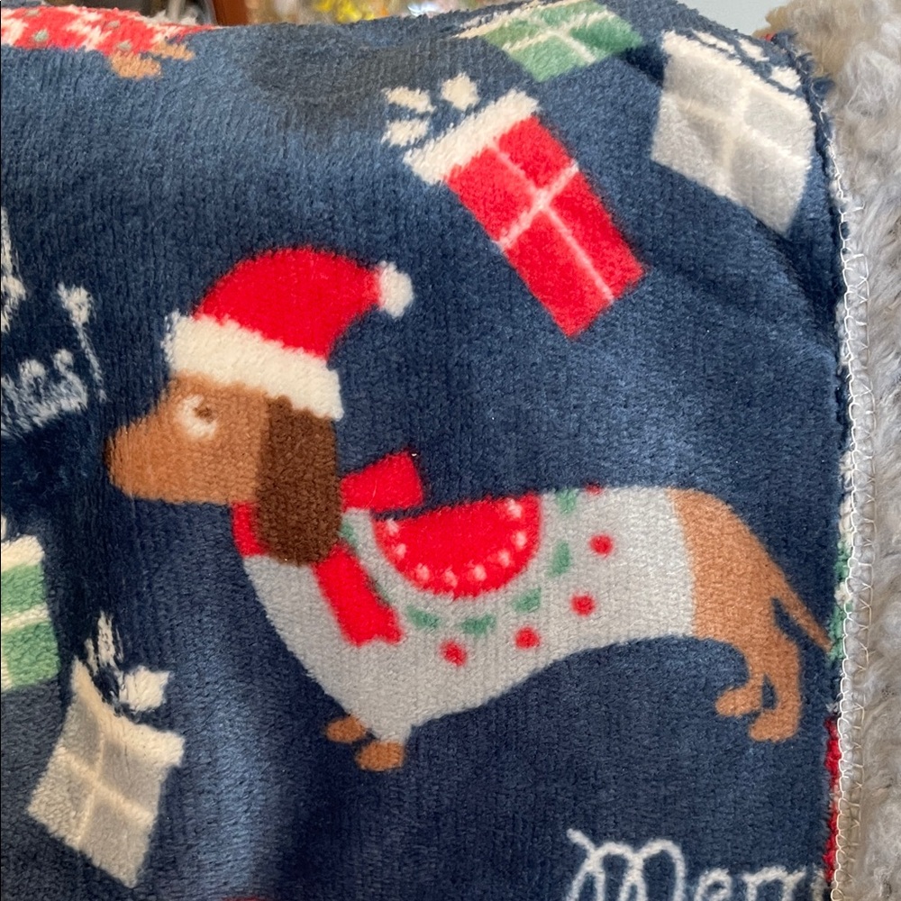 Dachshund themed Berkshire Pet Collection Festive Blue Blanket - Picture 5 of 8